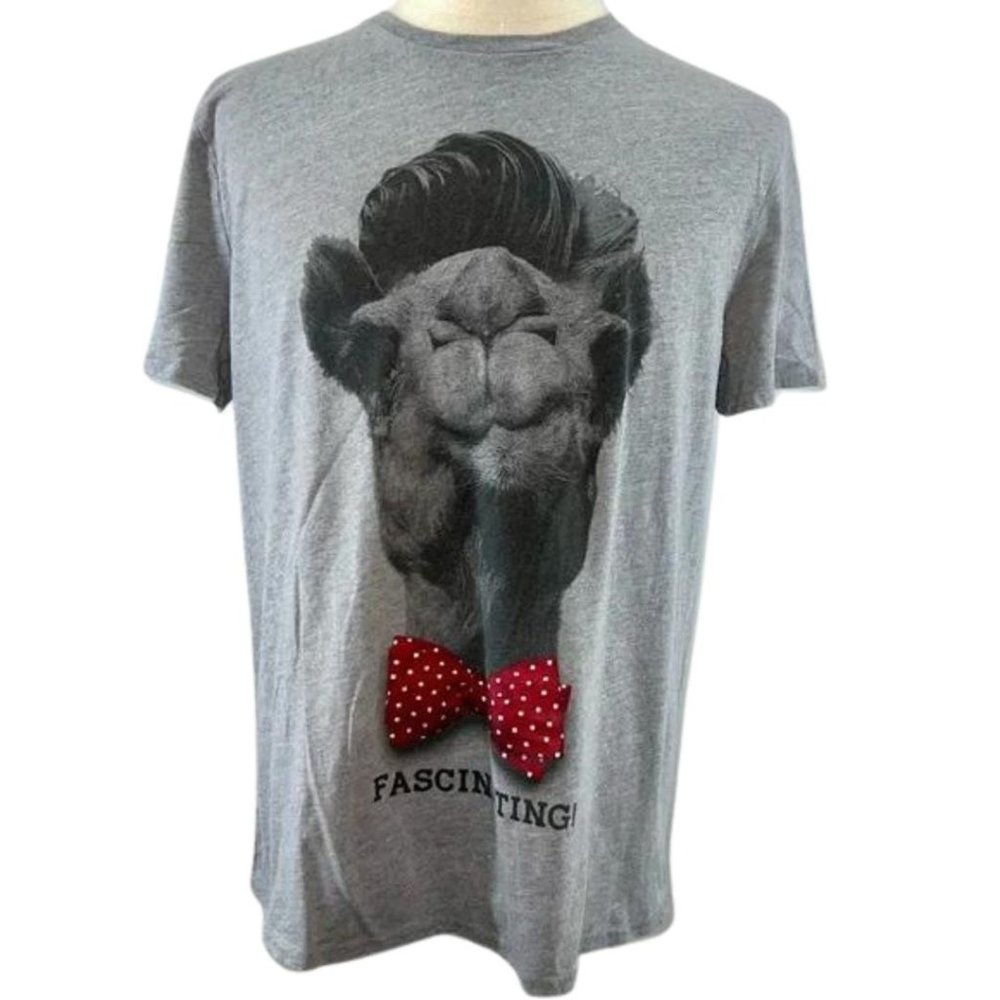 Fascinating Dapper Llama with Red and White Polka Dot Bowtie Gray Shirt